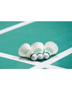 BADMINTON  175