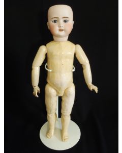 Doll