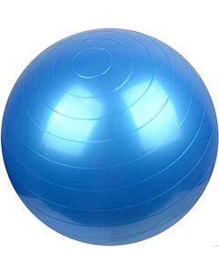GYM BALL LARGE 99